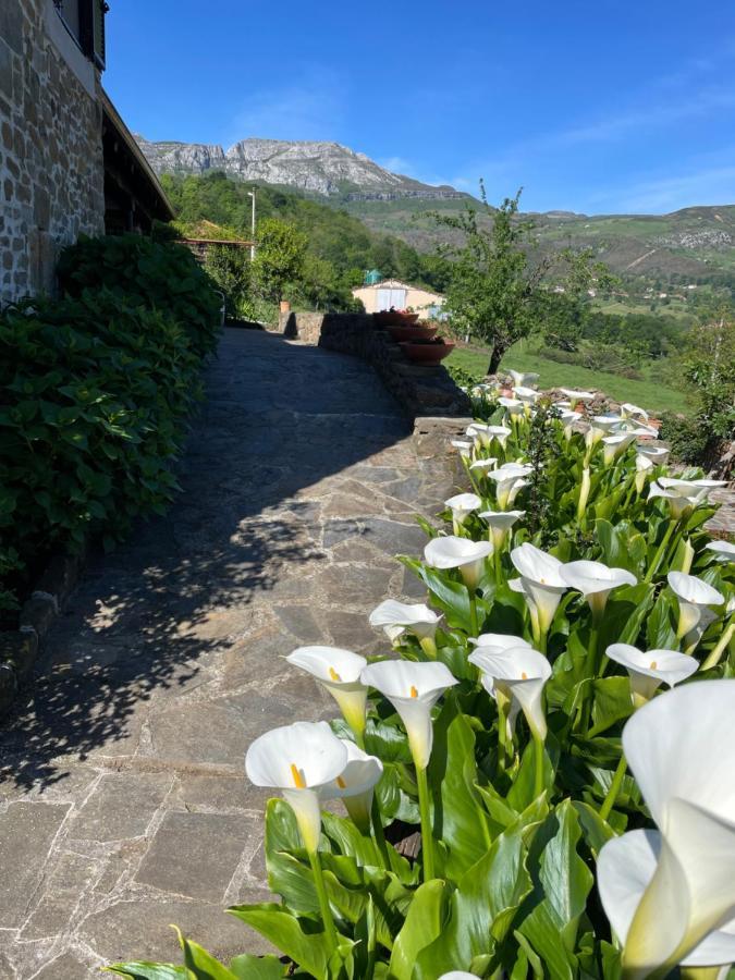 Posada Casa Guadamillas Bustancilles エクステリア 写真