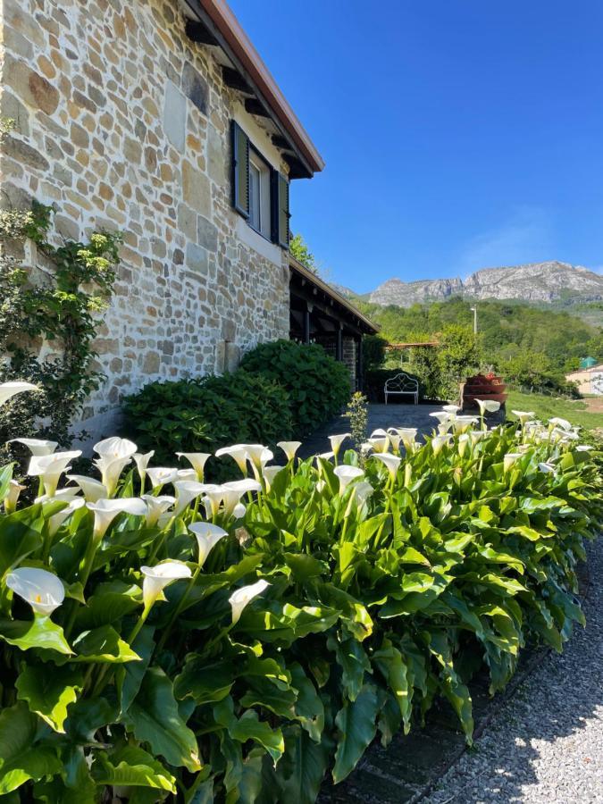 Posada Casa Guadamillas Bustancilles エクステリア 写真
